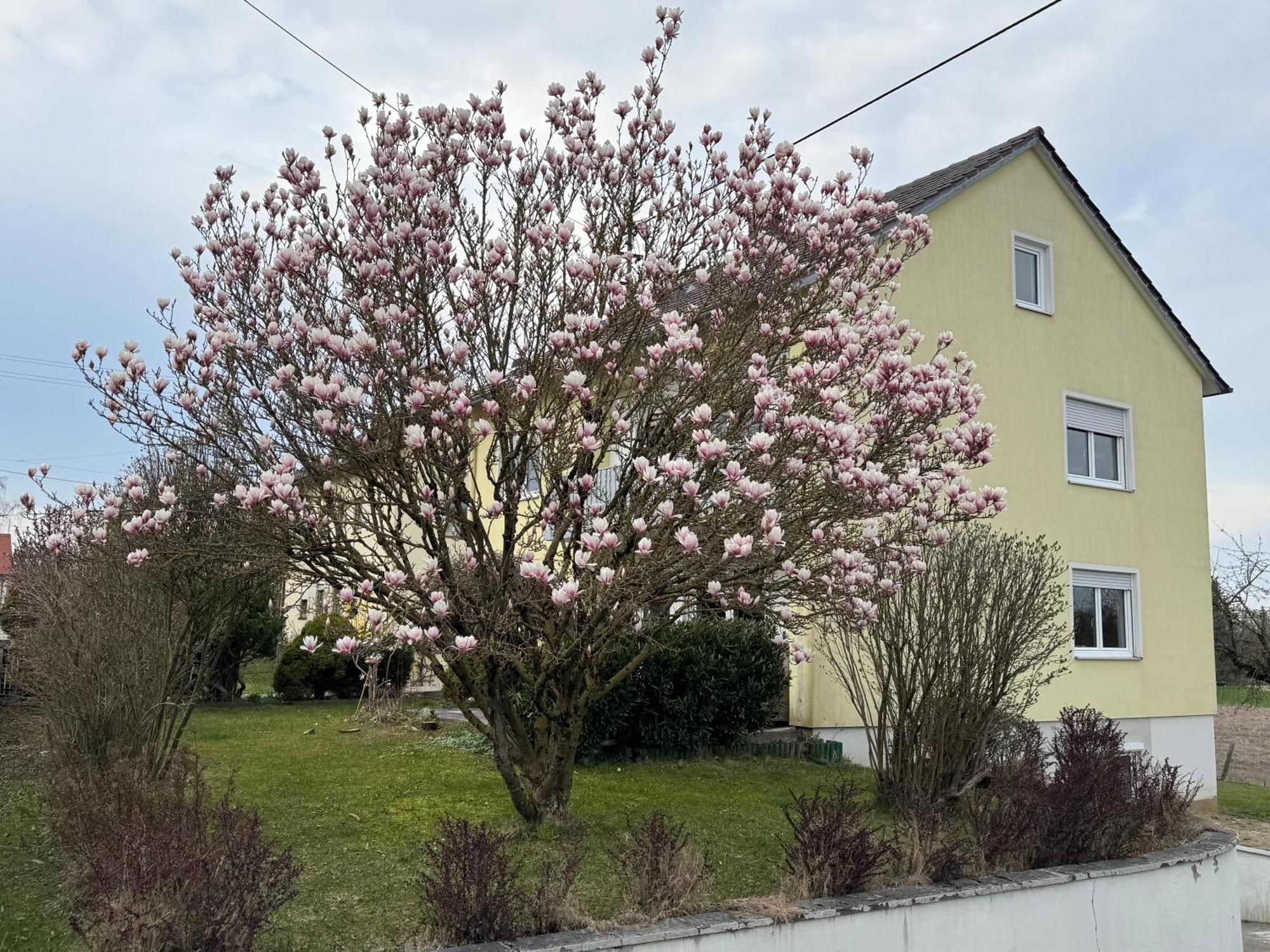 W&P Living Wohnung Mit Ausblick - Parkplatz Biberbach  المظهر الخارجي الصورة